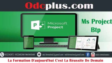 Formation MS PROJECT BTP