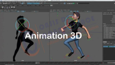 formation en animation 3d