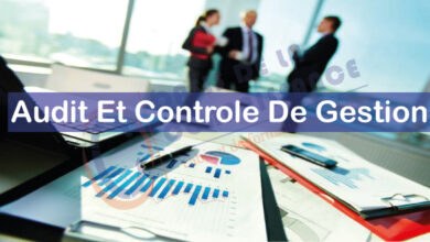 Formation audit et Contrôle de gestion