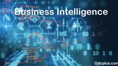 Business Intelligence