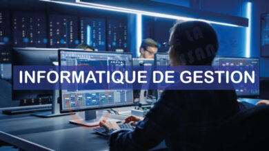 formation informatique de gestion