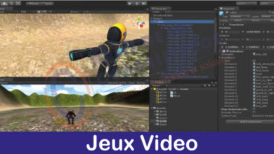 Formation jeux vidéo